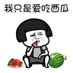 吃瓜娱乐圈花钱